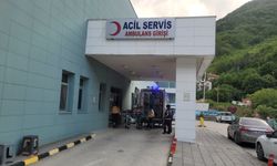 İnebolu’da Akrep Sokması: 75 Yaşındaki Kadın Son Anda Kurtarıldı