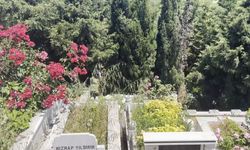 İstanbul Arnavutköy'de Mezarlıkta Erkek Bebek Ölü Halde Bulundu