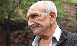 Kırıkkale’de Kurbanlık Dramı: Kurt Saldırısında 16 Küçükbaş Telef Oldu