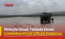 Pirinçte Umut, Tarlada Emek: Çatalelma Köyü Çiftçisi Anlatıyor