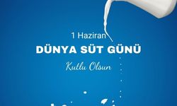 Süt Üretiminde Alarm: Kalite ve Toplama Sorunları Büyüyor!