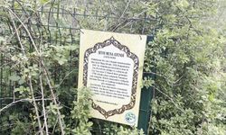 Tarihi Şeyh Musa Dede Türbesi Yok Olma Tehlikesiyle Karşı Karşıya