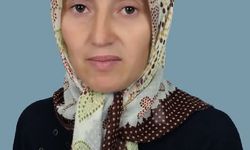 Üzüm Yaprağı Toplamaya Gitti, Hayatını Kaybetti