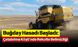 Buğday Hasadı Başladı Çatalelma Köyü’nde Rekolte Belirsizliği