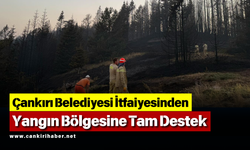 Çankırı Belediyesi İtfaiyesinden Yangın Bölgesine Tam Destek