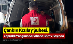 Çankırı Kızılay Şubesi, Yapraklı Yangınında Sahada Görev Başında