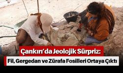 Çankırı’da Jeolojik Sürpriz: Fil, Gergedan ve Zürafa Fosilleri Ortaya Çıktı