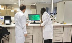 Kanser Araştırmalarına Katkı: KBÜ Öğrencisi Stajda