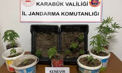 Karabük’te Jandarma’dan Kenevir Operasyonu: 14 Kök Bitki Ele Geçirildi