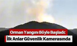 Orman Yangını Böyle Başladı: İlk Anlar Güvenlik Kamerasında