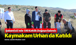 Şabanözü’nde 100 Keklik Doğaya Salındı: Kaymakam Urhan da Katıldı