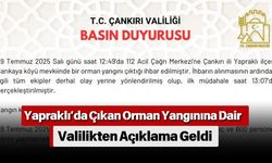 Yapraklı’da Çıkan Orman Yangınına Dair Valilikten Açıklama Geldi