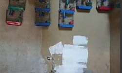 Adana’da Yasak Saka Kuşu Bulunduran Kişiye 151 Bin Lira Ceza