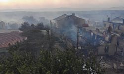 Bayramiç’te Yangın Felaketi: Saçaklı Köyü Küle Döndü