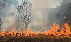 Bolu’da Bidon ve Şişeyle Akaryakıt Satışı Yasaklandı