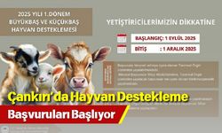 Çankırı’da Hayvan Destekleme Başvuruları Başlıyor