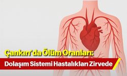 Çankırı’da Ölüm Oranları: Dolaşım Sistemi Hastalıkları Zirvede