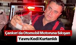 Çankırı’da Otomobil Motoruna Sıkışan Yavru Kedi Kurtarıldı