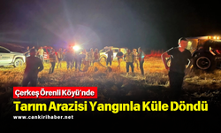 Çerkeş Örenli Köyü’nde Tarım Arazisi Yangınla Küle Döndü