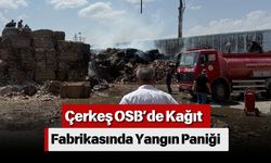 Çerkeş OSB’de Kağıt Fabrikasında Yangın Paniği