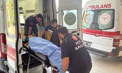 Fındık İşçilerini Taşıyan Minibüs Uçuruma Yuvarlandı