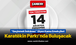 “Geçinmek İmkânsız” Diyen Kamu Emekçileri Karatêkin Parkı’nda Buluşacak