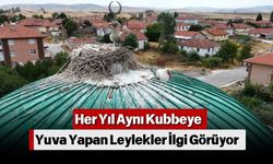 Her Yıl Aynı Kubbeye Yuva Yapan Leylekler İlgi Görüyor