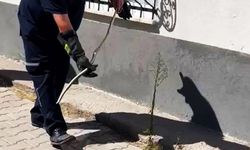 Karabük’te Doğalgaz Kutusuna Giren Yılan İtfaiye Tarafından Yakalandı