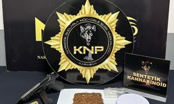Karabük’te Narkotik Operasyonları: Sentetik Madde ve Silah Ele Geçirildi