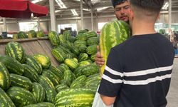 Karpuz Seçiminde Yeni Dönem: Yapay Zeka mı, Esnaf Tecrübesi mi?