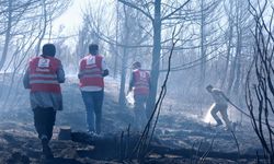 Kızılay’dan orman yangınlarıyla mücadeleye 2,6 milyon kişilik destek