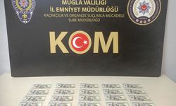 Muğla’da Sahte Dolar Operasyonu: Şüpheli Tutuklandı