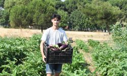 Osmangazi’de Tarım İlacı Kullanmadan 130 Çeşit Yerel Tohumla Organik Üretim Başladı