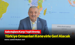 Sabotajlara Karşı Yeşil Direniş: Türkiye Ormanları Kenevirle Geri Alacak