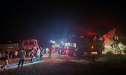 Sakarya Geyve’de Orman Yangını: 5 Dönüm Alan Zarar Gördü
