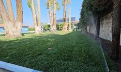 Sapanca’da Gençler, Mahalle İlkokulunu Yeni Öğretim Yılına Hazırladı