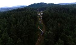 SEDAŞ’tan Orman Yangınlarına Karşı Dron Destekli Enerji Hattı Denetimi