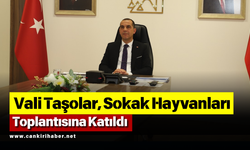 Vali Taşolar, Sokak Hayvanları Toplantısına Katıldı