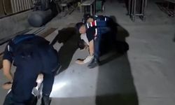 Adana’da 3 Konteynerde Skunk Yetiştiren Şüpheliden Biri Tutuklandı