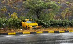 Alaplı Plajlar Mevkiinde Ticari Taksi Direğe Çarptı: Yolcu Yaralandı