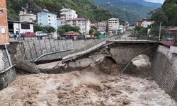 Artvin Borçka’da Sel Felaketi: Asırlık Tarihi Köprü Yıkıldı