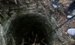 Azdavay’da Su Kuyusuna Düşen İnek Belediye Ekiplerince Kurtarıldı