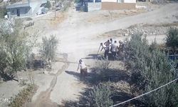 Birecik’te Bayılan Eşini Koruyan Kadın, Kocası İçin Taşla Müdahale Etti