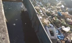 Bolu’nun Çubuk Gölü, Temizlik Çalışmasıyla Römork Dolusu Çöpten Arındırıldı
