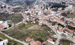 Bursa’da Site Bahçesinde Yavru Ayılar Görüldü: Yönetimden Çocuklara Uyarı