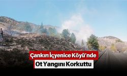 Çankırı İçyenice Köyü’nde Ot Yangını Korkuttu