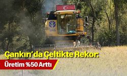 Çankırı’da Çeltikte Rekor: Üretim %50 Arttı