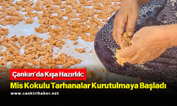 Çankırı’da Kışa Hazırlık: Mis Kokulu Tarhanalar Kurutulmaya Başladı