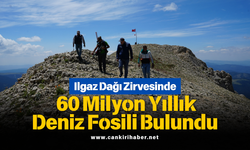 Ilgaz Dağı Zirvesinde 60 Milyon Yıllık Deniz Fosili Bulundu