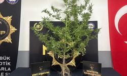 Karabük polisi sentetik kannabinoid ve hint keneviri ele geçirdi